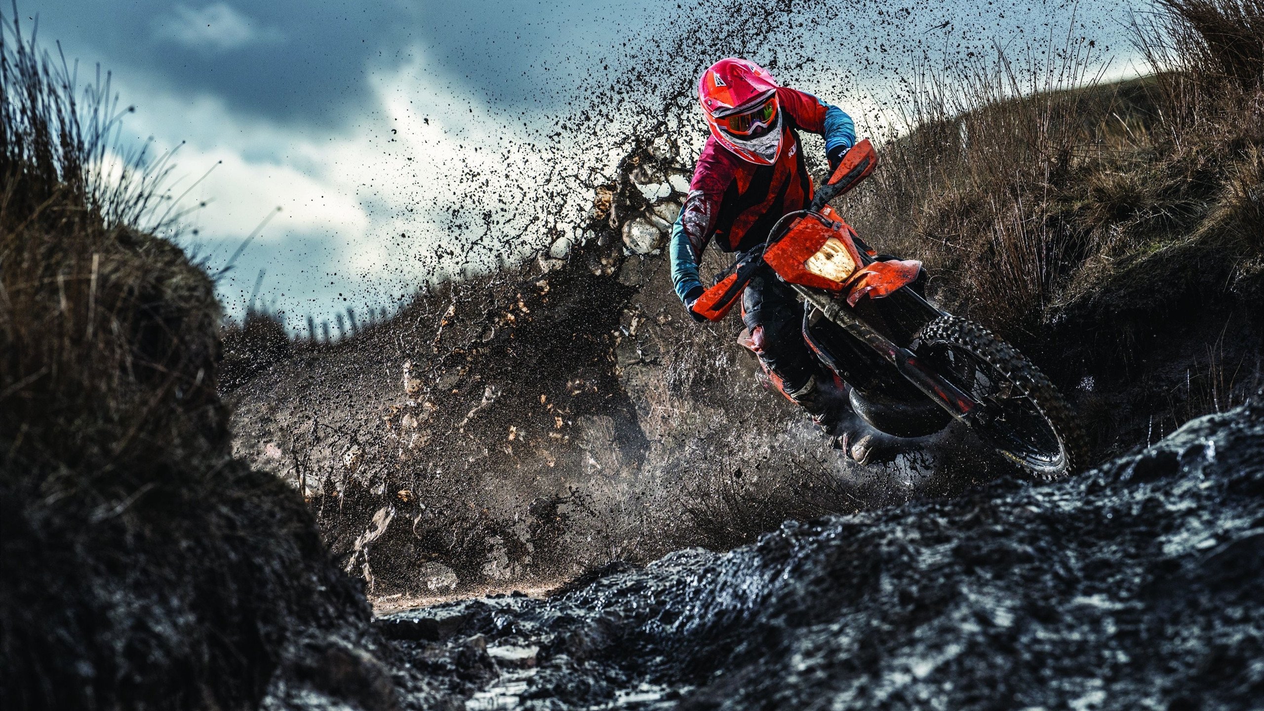 法甲未来之星：新秀崛起，未来无限光明！，法甲最佳新秀